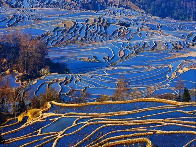 简篇-【去花开的地方,寻找春的色彩与芬芳】随风2026,3月 云南-10天大环线游