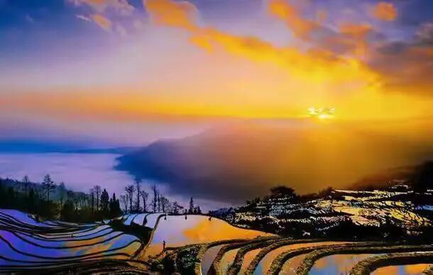 简篇-【去花开的地方,寻找春的色彩与芬芳】随风2026,3月 云南-10天大环线游