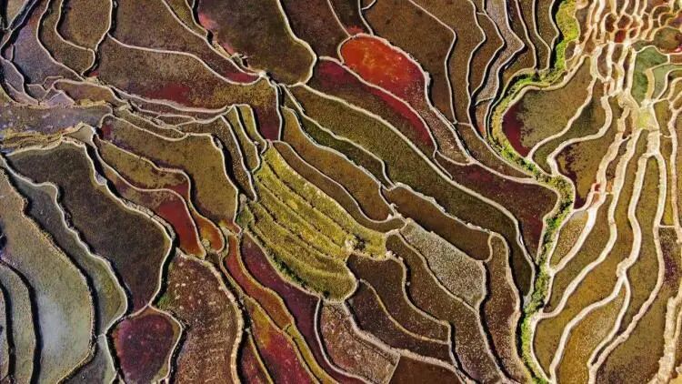 简篇-【去花开的地方,寻找春的色彩与芬芳】随风2026,3月 云南-10天大环线游