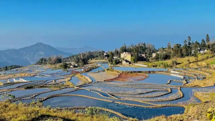 简篇-【去花开的地方,寻找春的色彩与芬芳】随风2026,3月 云南-10天大环线游