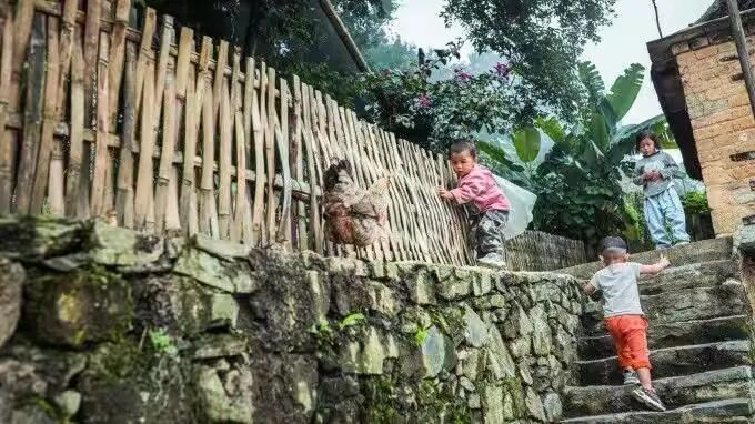 简篇-【去花开的地方,寻找春的色彩与芬芳】随风2026,3月 云南-10天大环线游