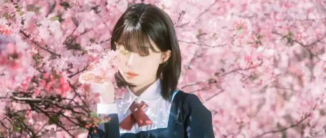 简篇-【去花开的地方,寻找春的色彩与芬芳】随风2026,3月 云南-10天大环线游