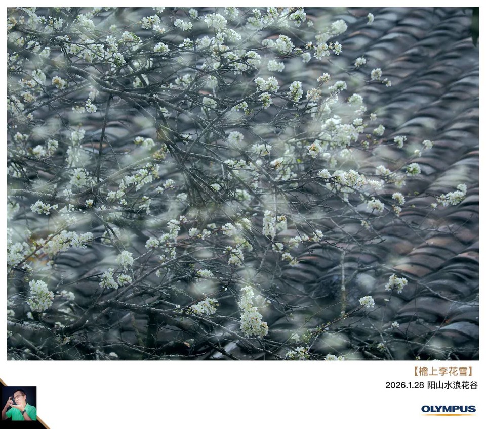 pVnpZ02Dq_XtRjHyxkwGBRn9mP-Qfe4nO30lxKlirqfFtbi0gBklRQ8tNvQW6_gY