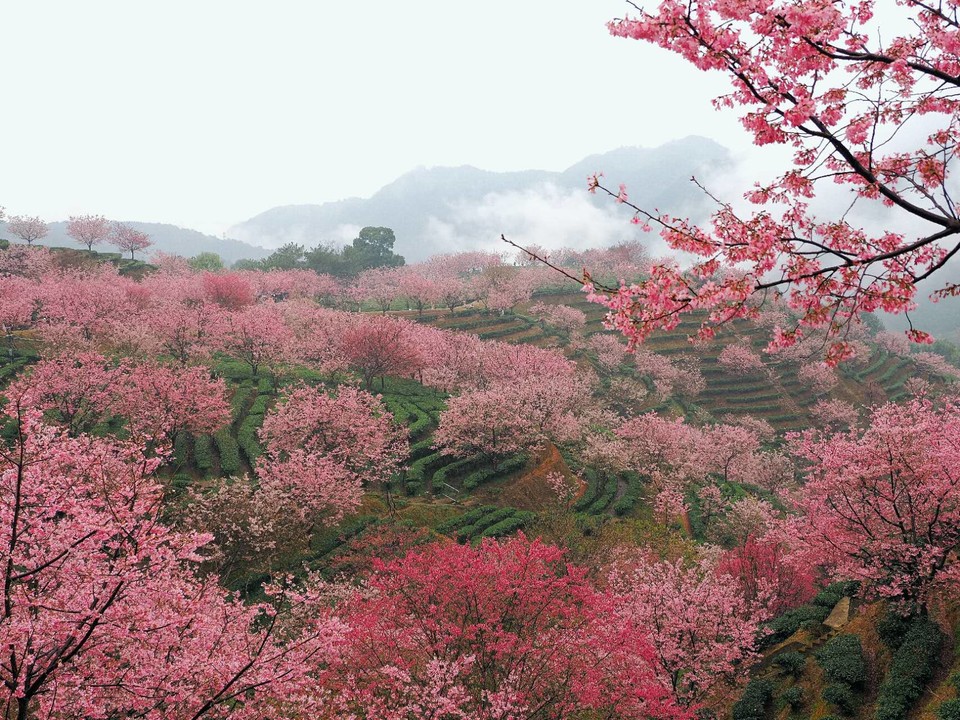 hVp_2emO7vCKhz6cSblMPi4efxp5PfEU2tYVDEA4qPua1ByVTMsb4BOLHvEThC0C