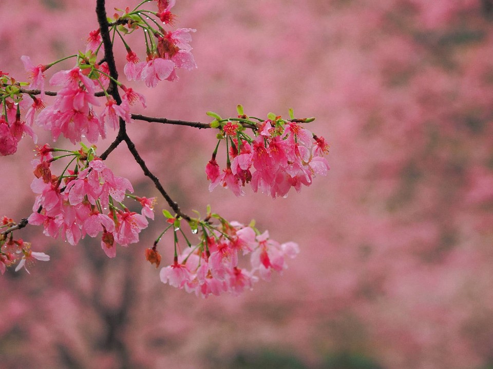 hVp_2emO7vCKhz6cSblMPlCKoNseOeeAxvrufyBm6Y4scc6hWz_pRA5zNrp2SUy1