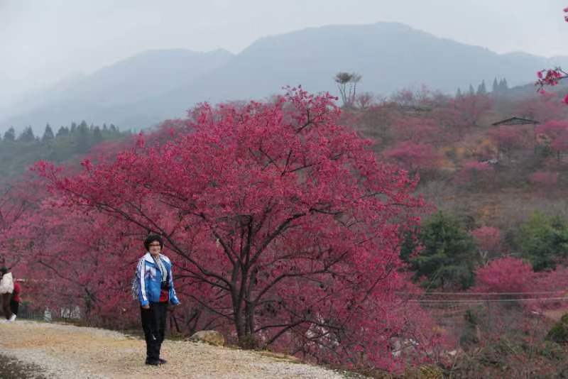 CerQT-_XcV552iVc_fNCprG5PPQhiPFfxzXFKm13zURpu6O1gsY7hoZRIYEwCCFi