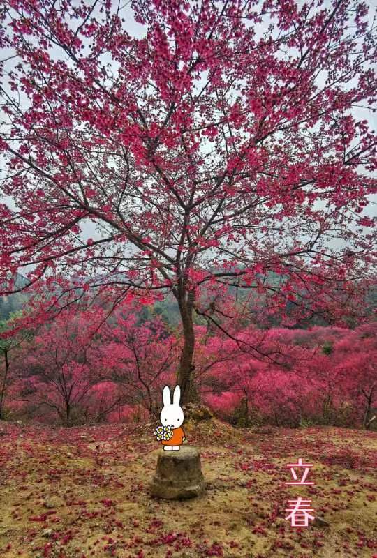 CerQT-_XcV552iVc_fNCptKyIFFpOwE6r7DMCJaCsF-PIz5Gx-GOLeU3z460ewp3