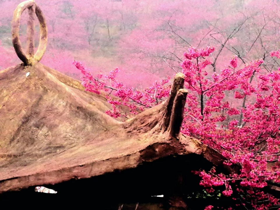 CerQT-_XcV552iVc_fNCpsmy2N-UWW6dEB8scWrs8aw9tTluOV-D_0Y1k_hqgomh