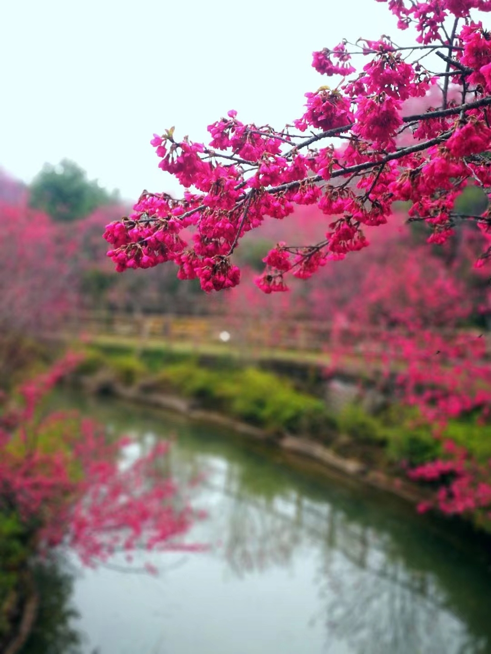 CerQT-_XcV552iVc_fNCppB4Ub8E0URh0iem4gIPN9pHbiU_PAxBAO89ZcEK0-d4