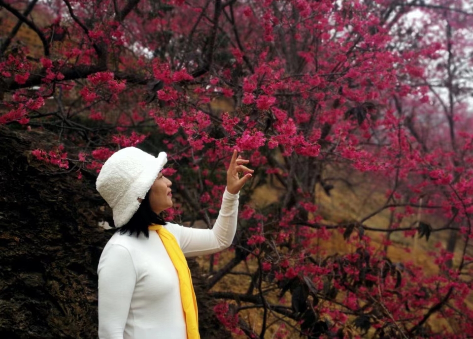 CerQT-_XcV552iVc_fNCpgS7vVptZdNX5KputugdoGcBNGfIP1eShU1MZFvDqH_z