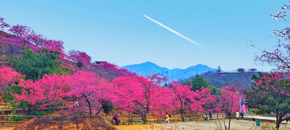 CerQT-_XcV552iVc_fNCpnI8E4X_Ui41-5wmeGQvQI8qrrdBF4bfADD9QvpZem47