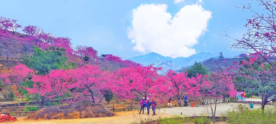 CerQT-_XcV552iVc_fNCpjMV8qWDCUHtXyN5zJuY3eg6uPbup6kmKWlesr-bduVi