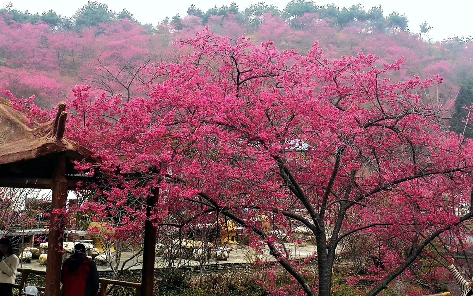 CerQT-_XcV552iVc_fNCprge95qRO11vBHshtUOPfrf2QiBqVC77nQ-kwQMXr3DN