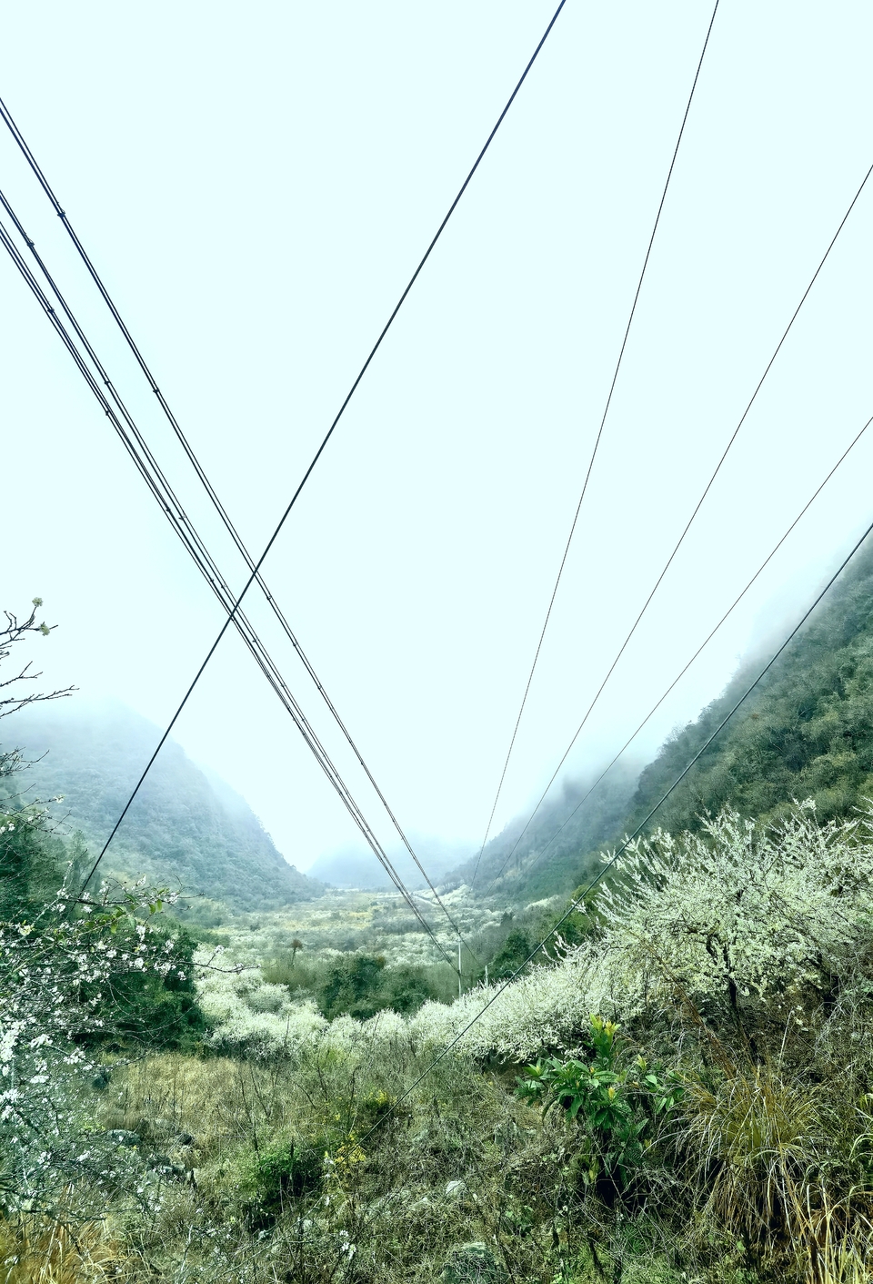 阳山冯屋花絮11