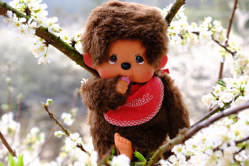 阳山冯屋花絮17