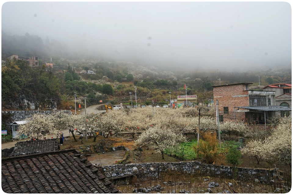 阳山冯屋花絮27