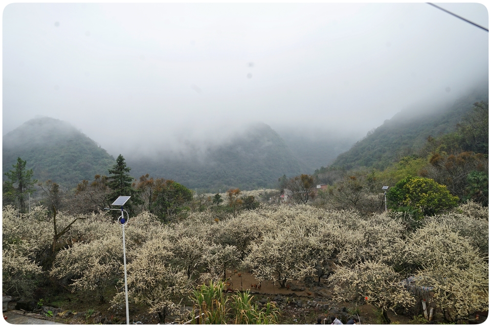 阳山冯屋花絮28