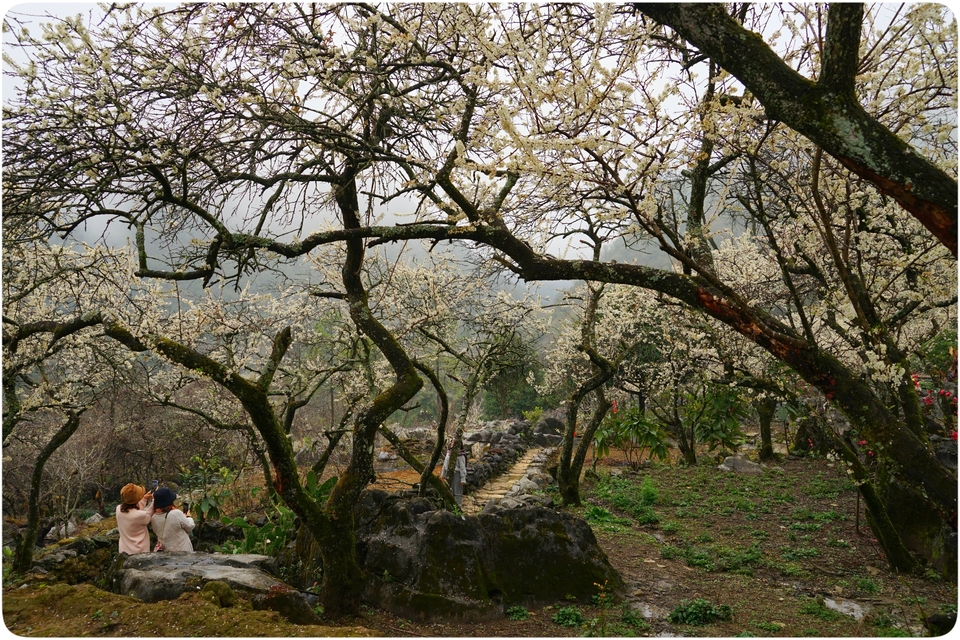 阳山冯屋花絮40