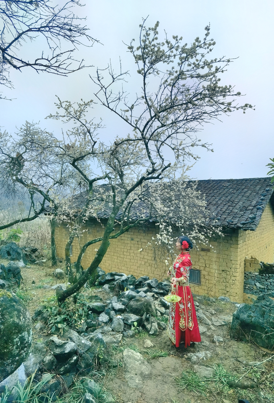 阳山冯屋花絮47