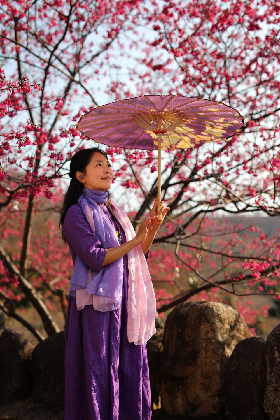 mmexport1612006441727