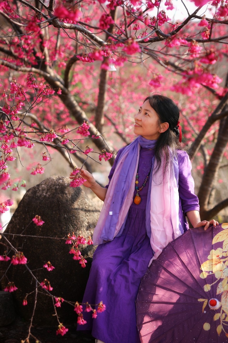 mmexport1612006434999