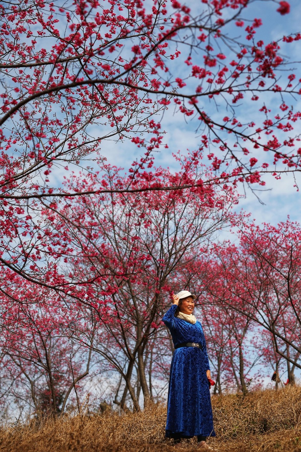 mmexport1612006507074