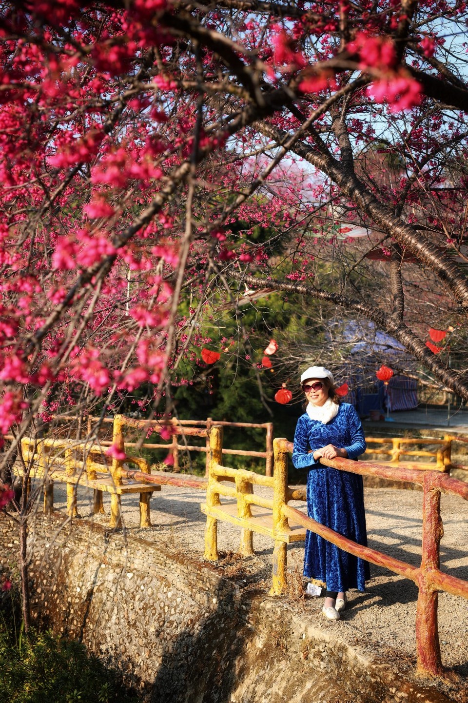 mmexport1612006415658