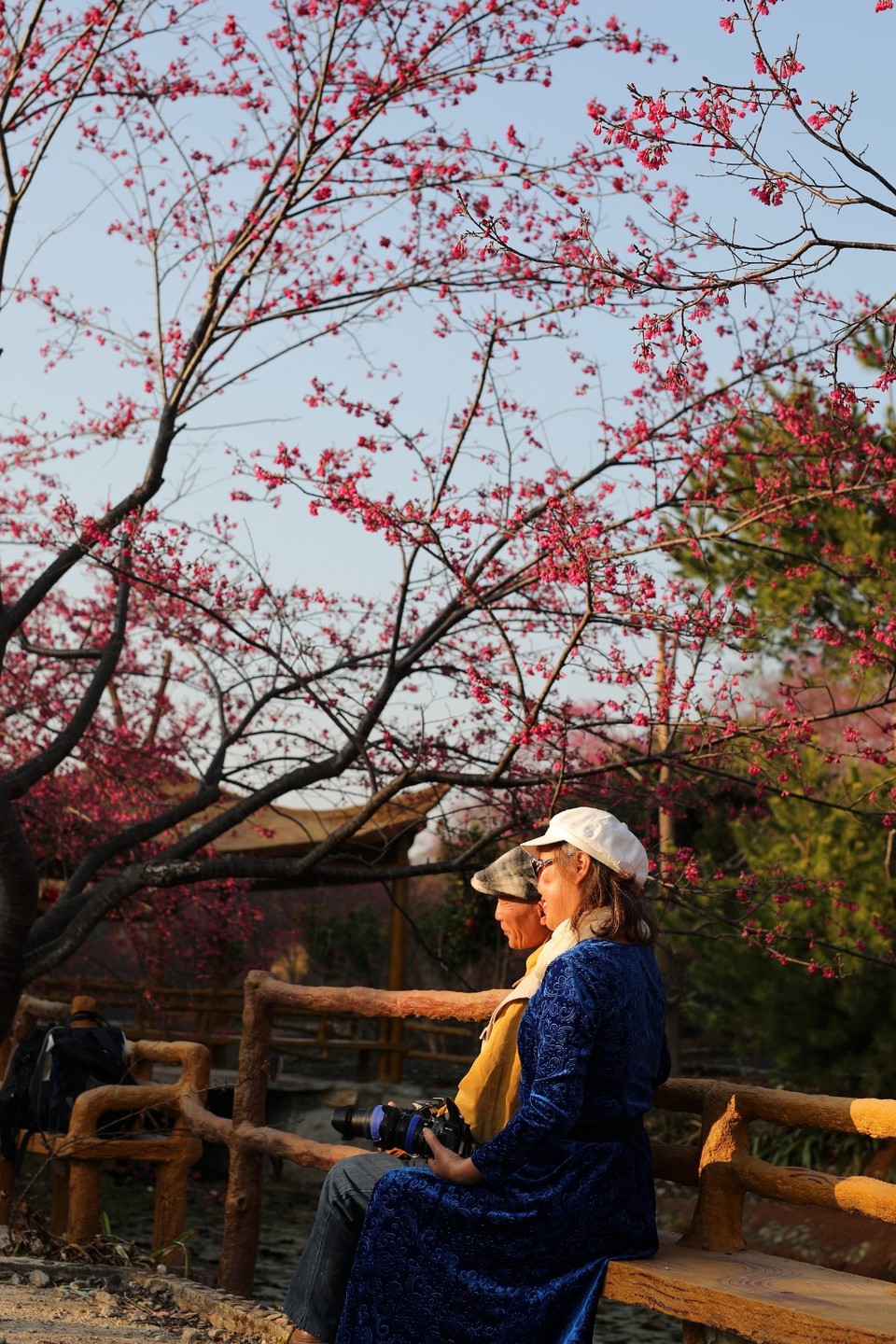 mmexport1612006395771