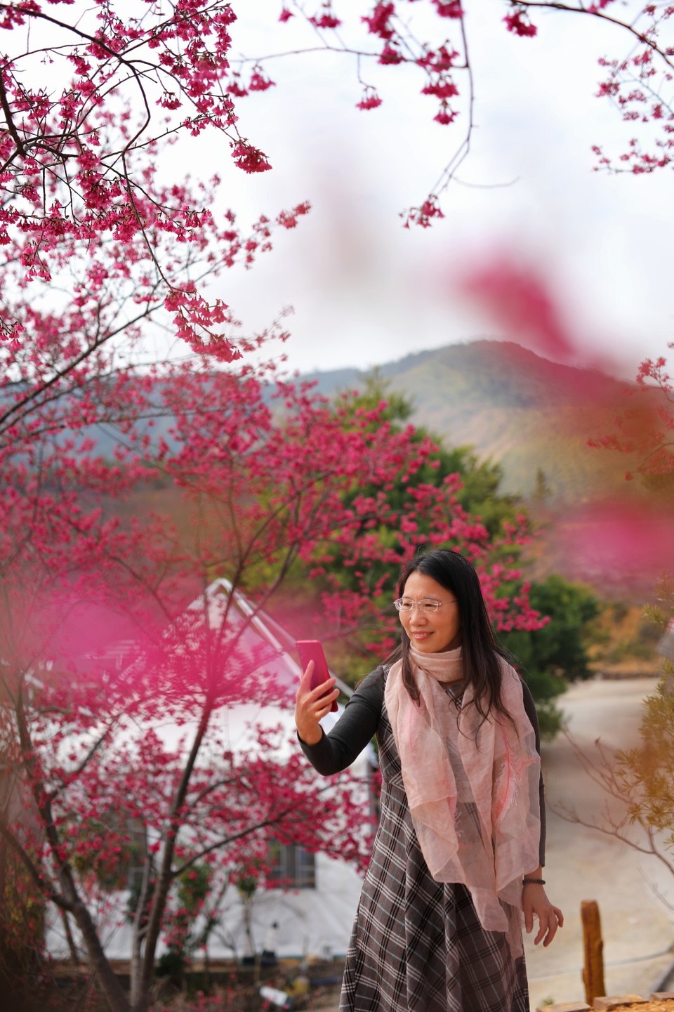 mmexport1612006483730