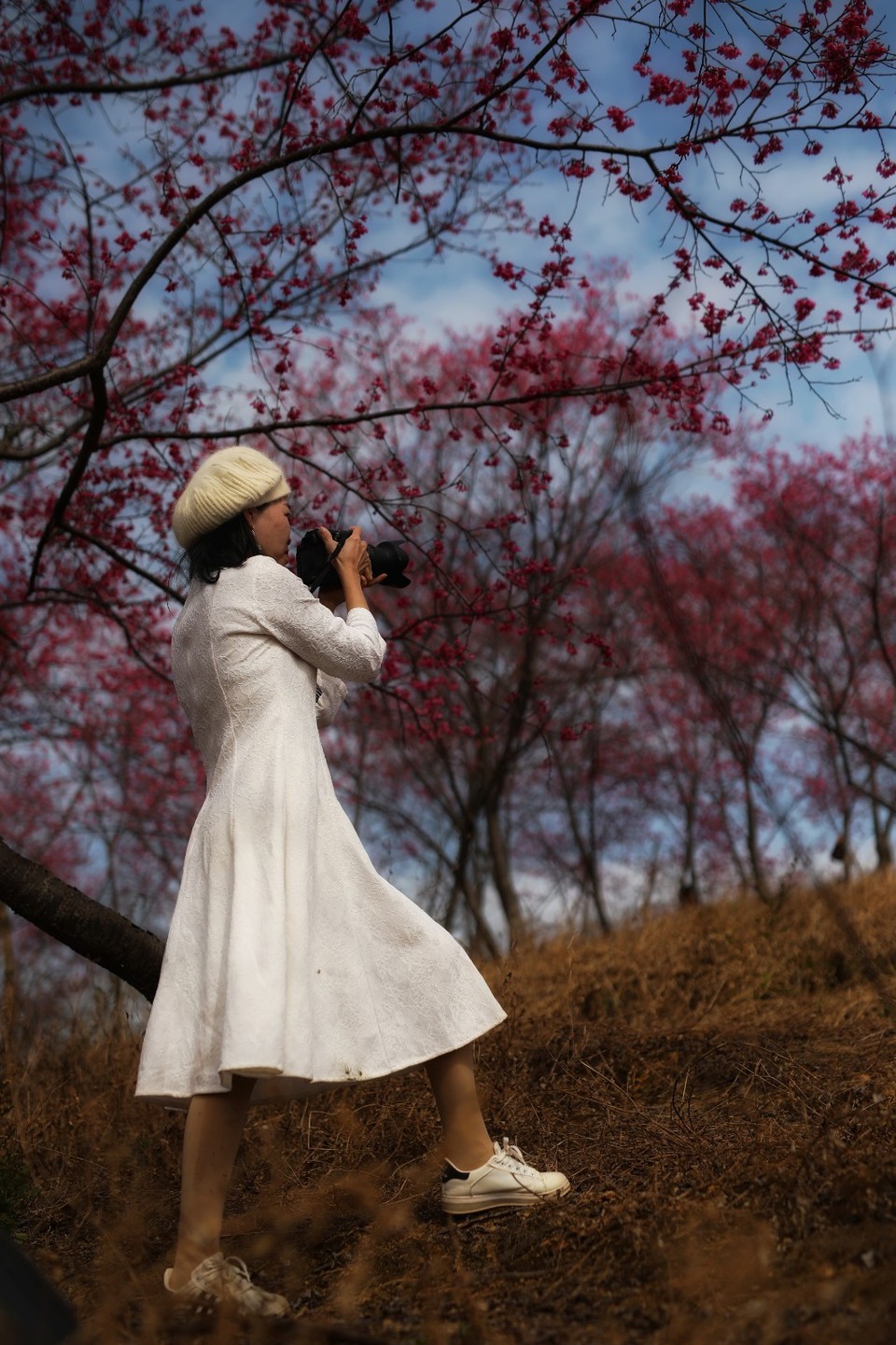 mmexport1612006498566