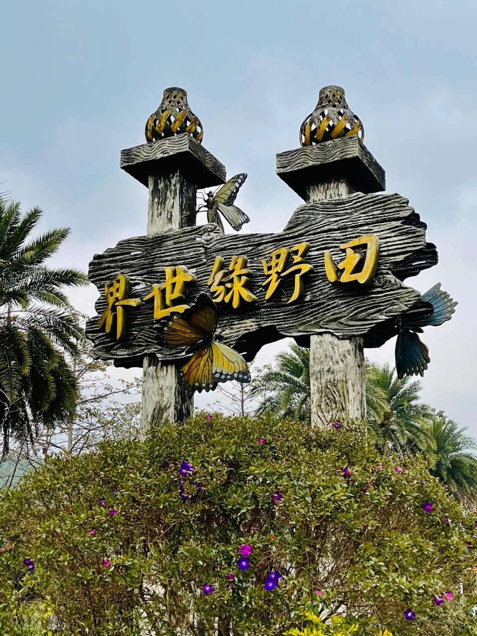 mmexport1612105813886