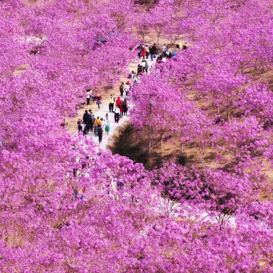 mmexport1612351607147