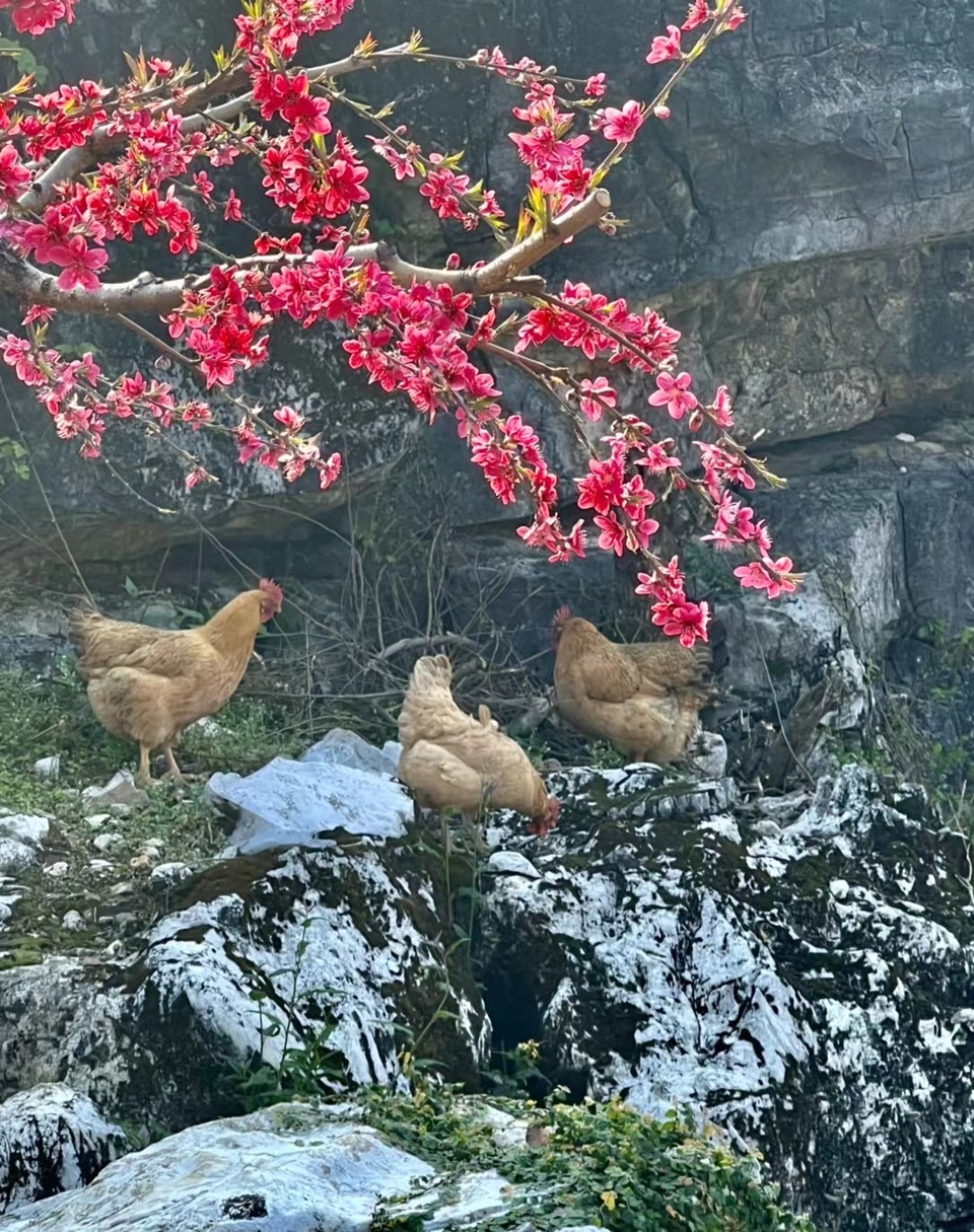 mmexport1677941398381