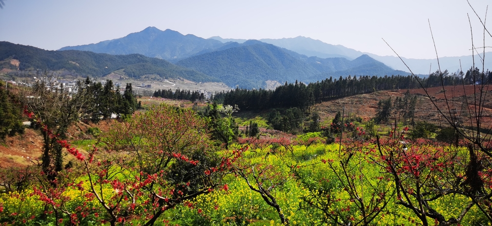 mmexport1677941425982