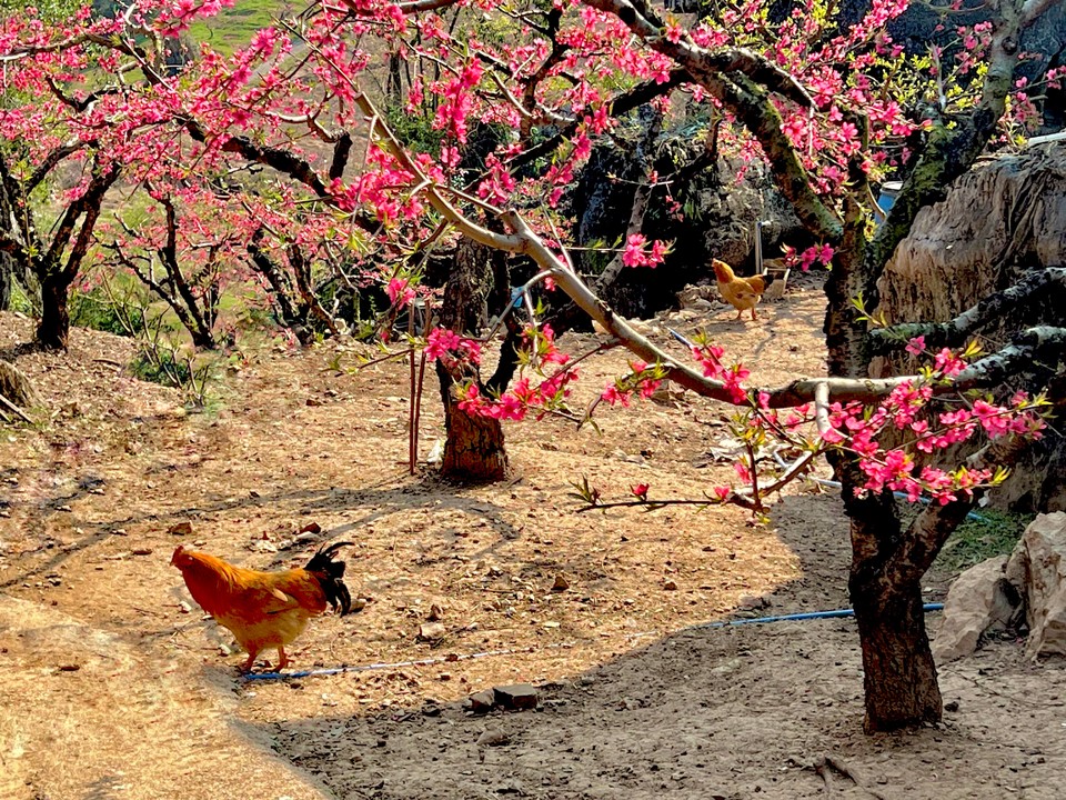 mmexport1677941390216