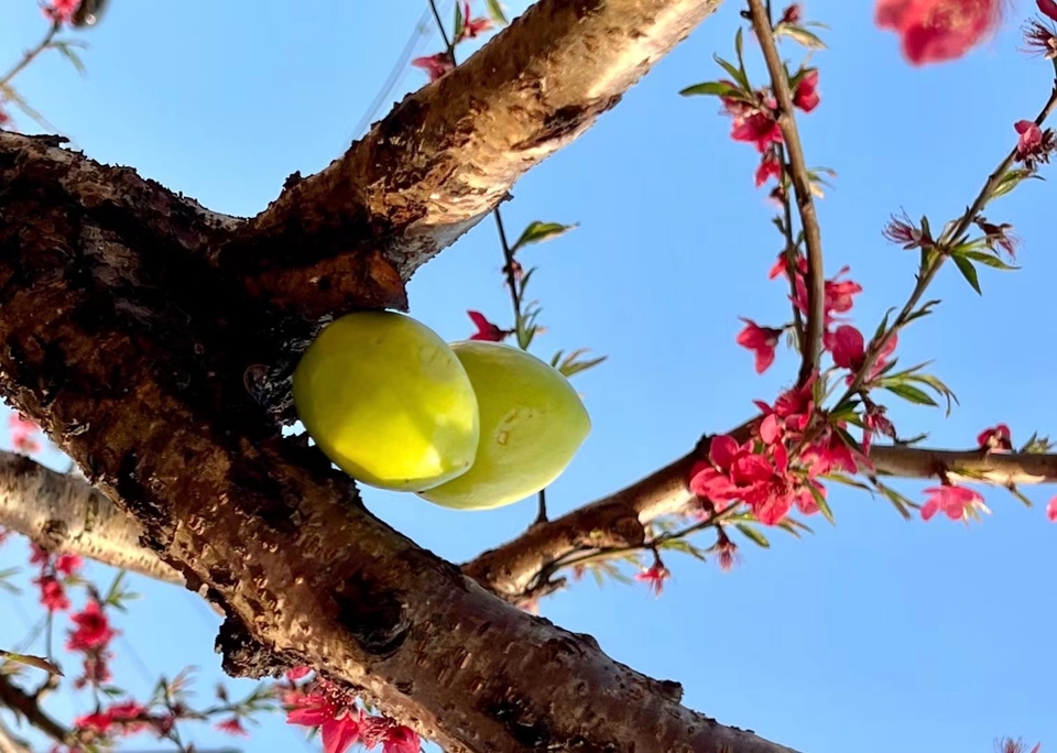 mmexport1677941402231