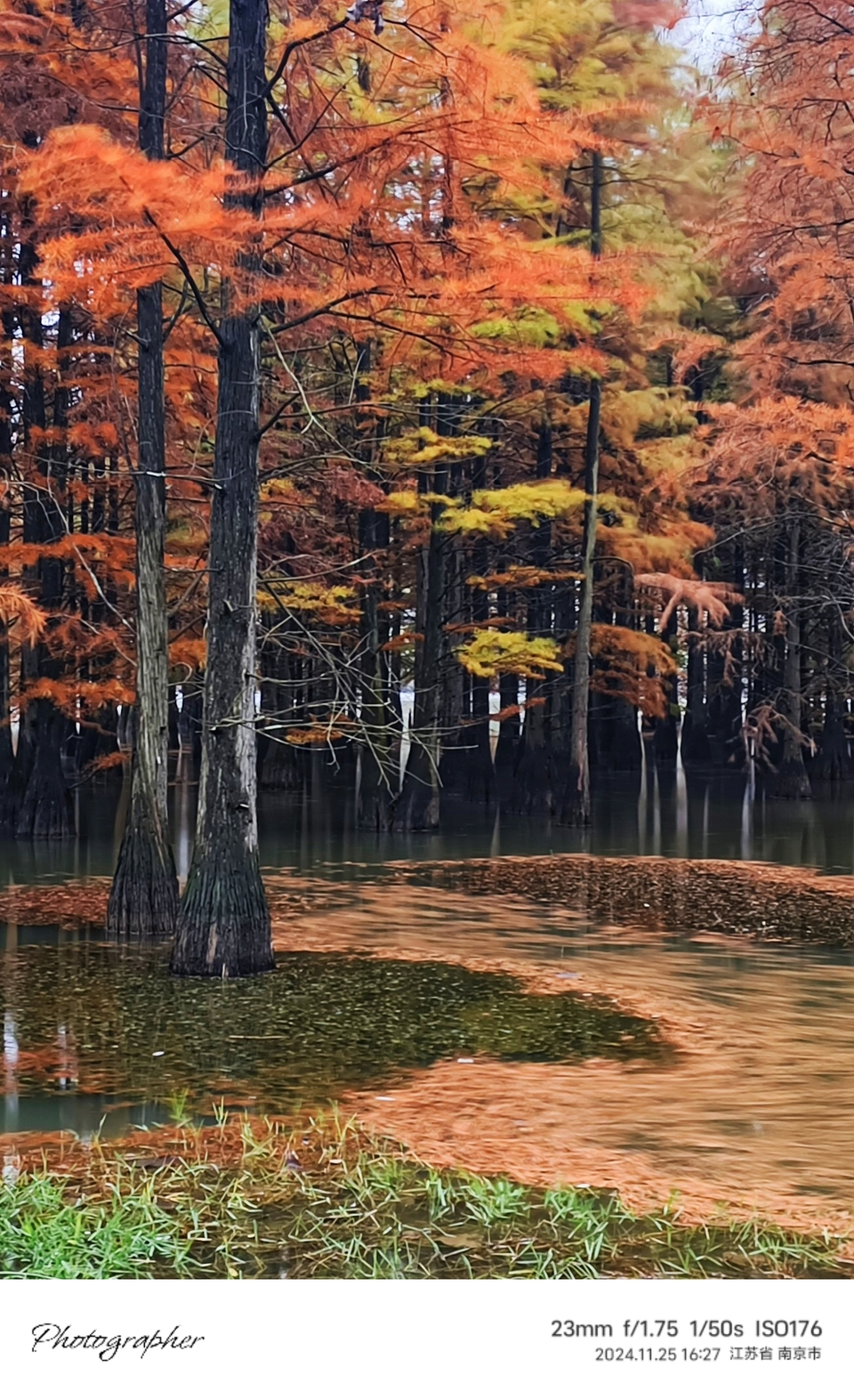 mmexport1733387702586