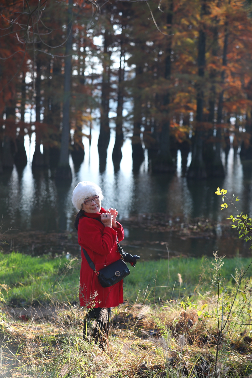 mmexport1733387750363