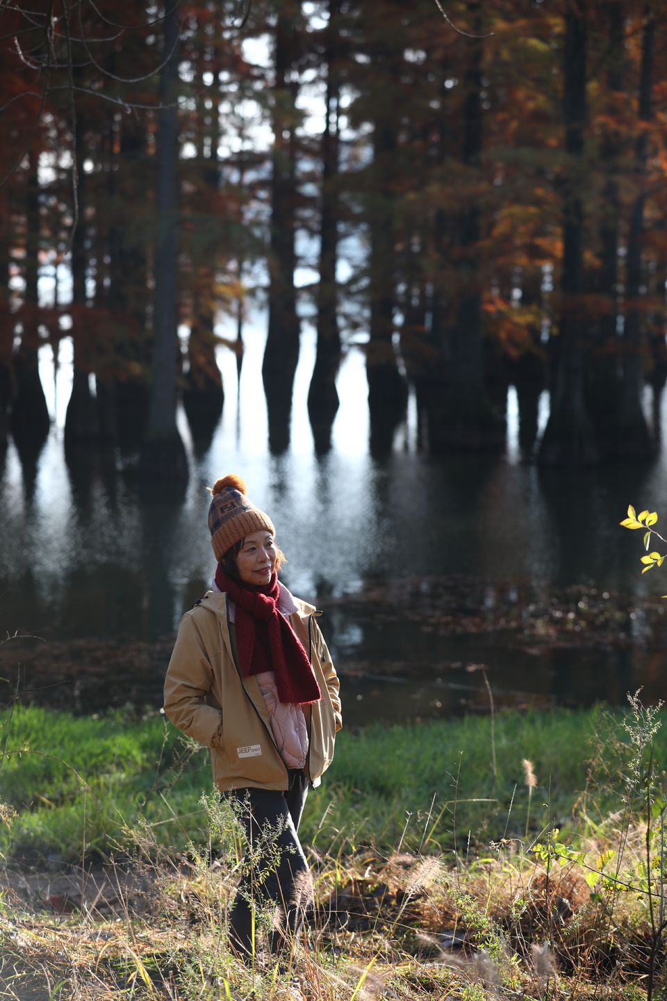 mmexport1733387753247