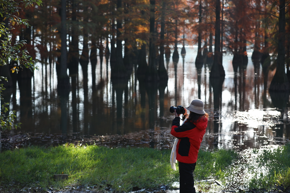 mmexport1733387763065