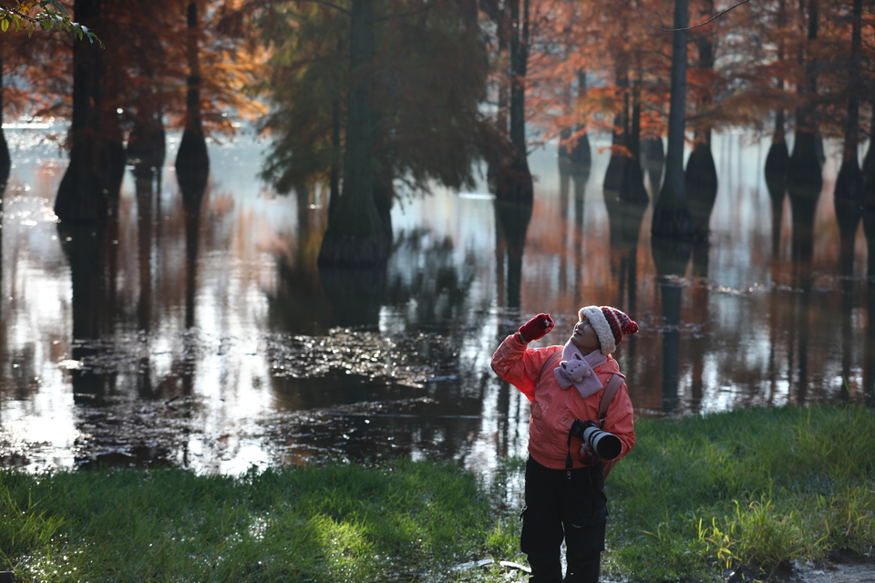 mmexport1733387766108