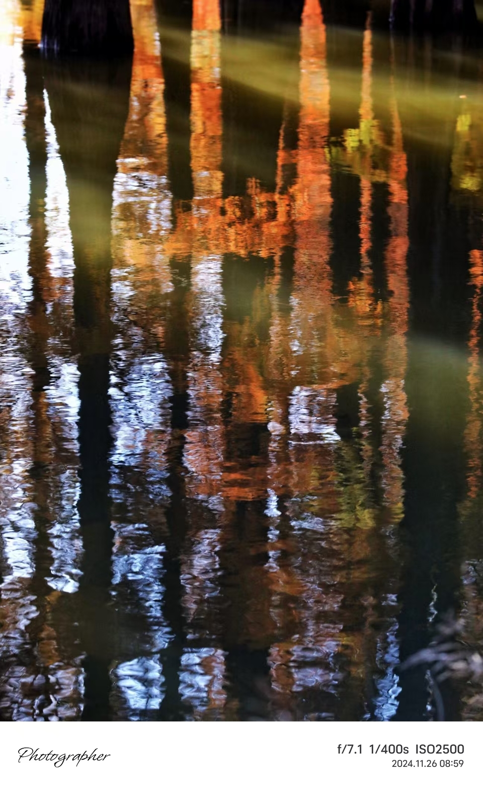 mmexport1733387805669