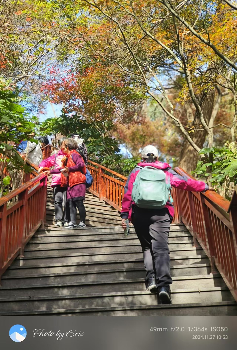 mmexport1733387828343