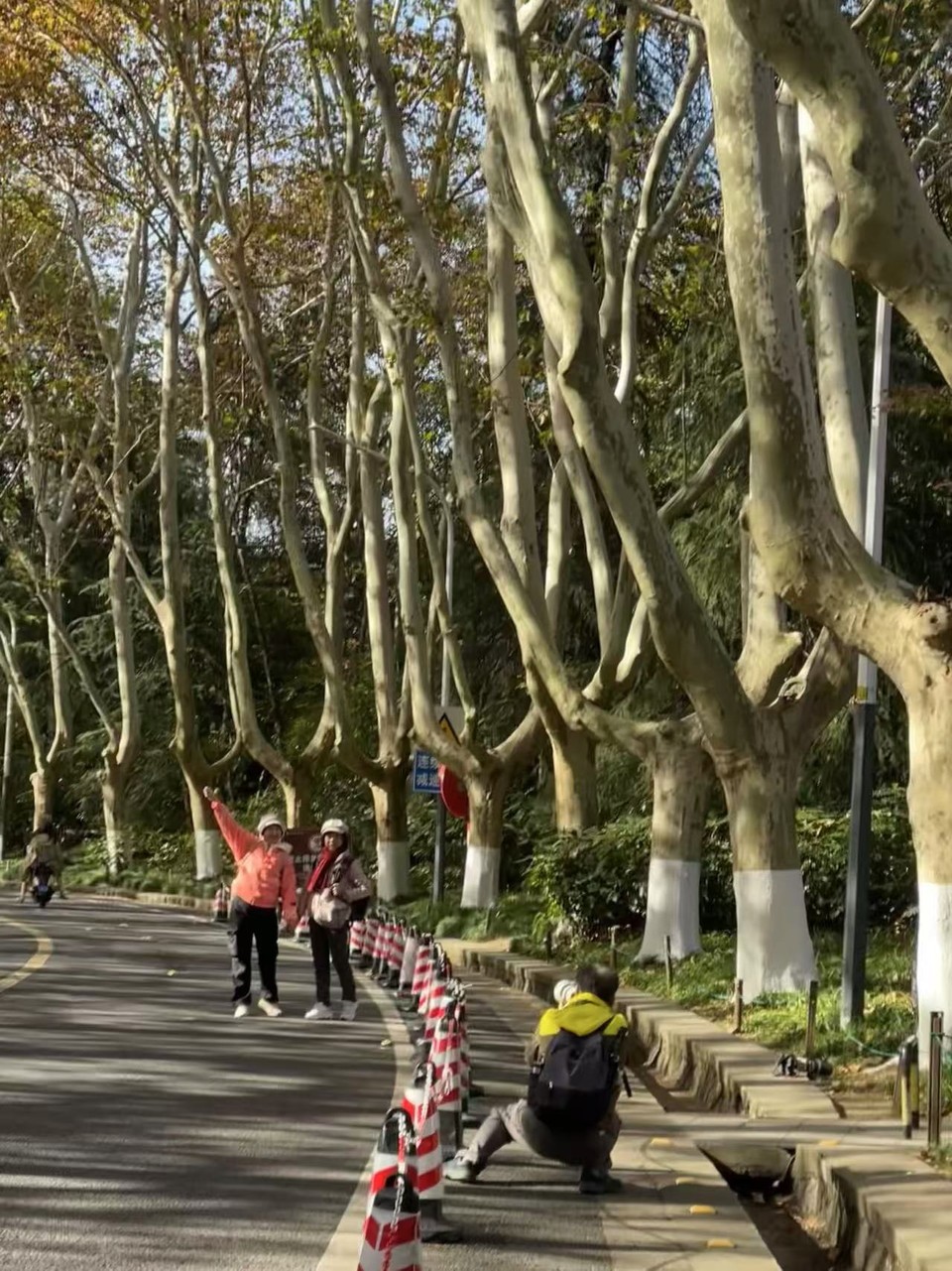 mmexport1733387866874