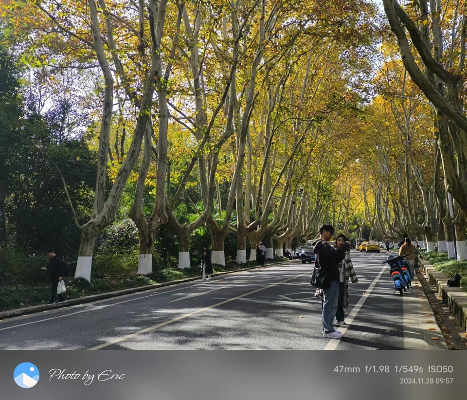 mmexport1733387861276