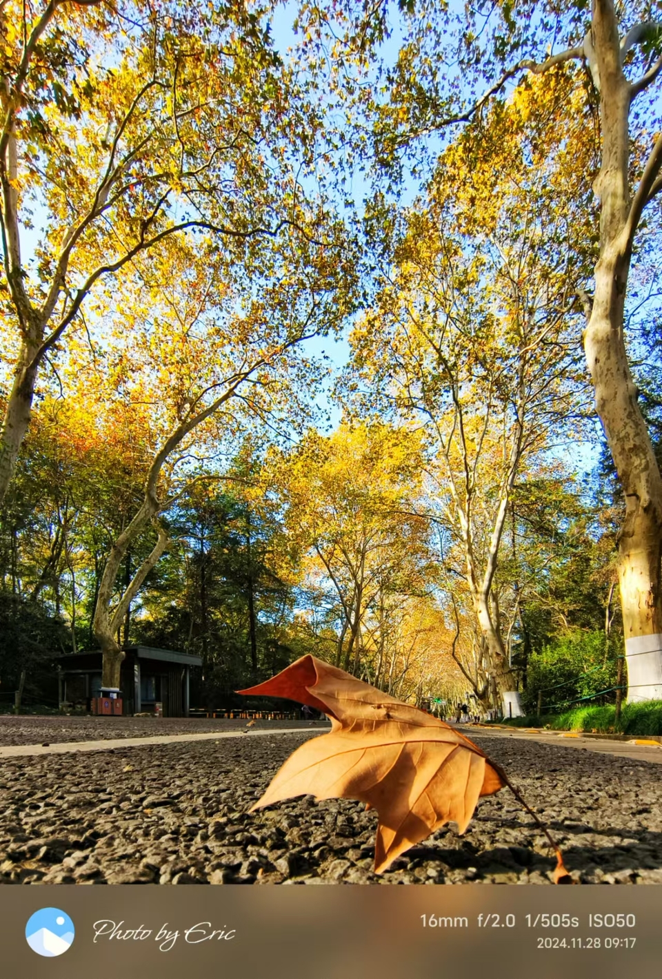 mmexport1733387851788