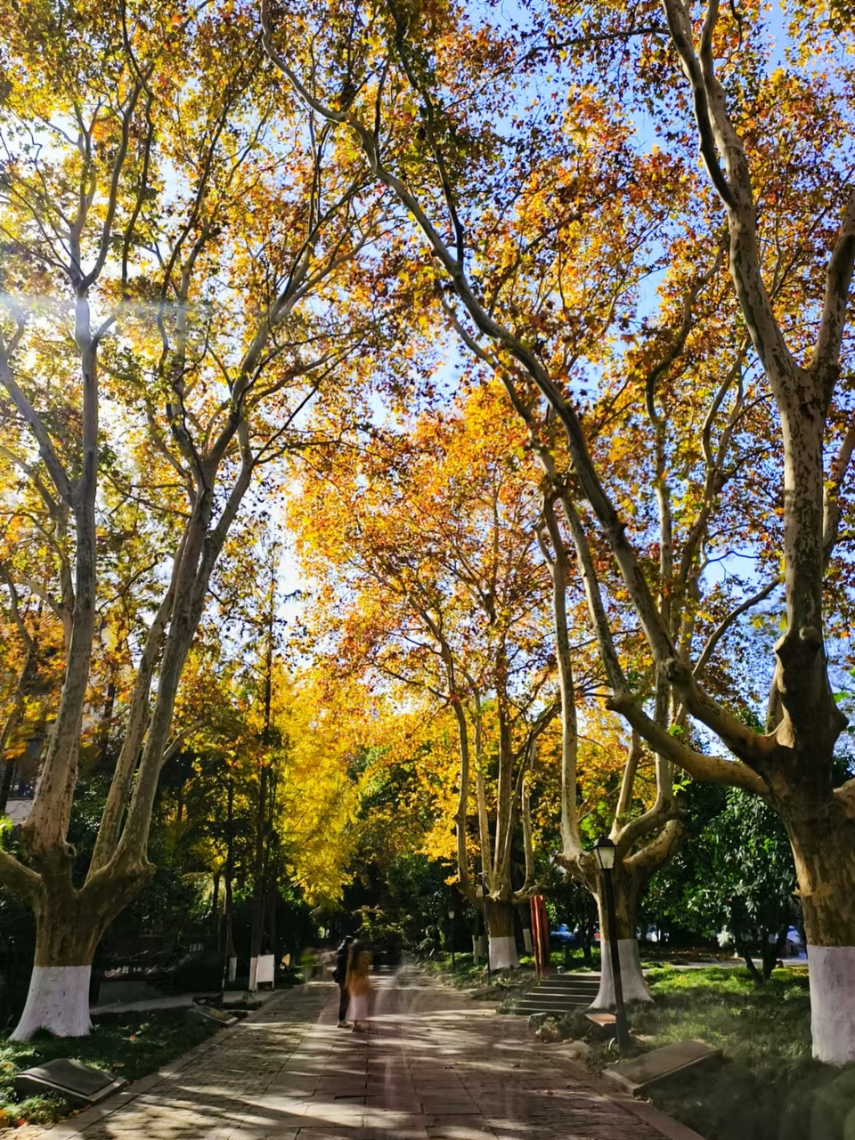 mmexport1733387884602