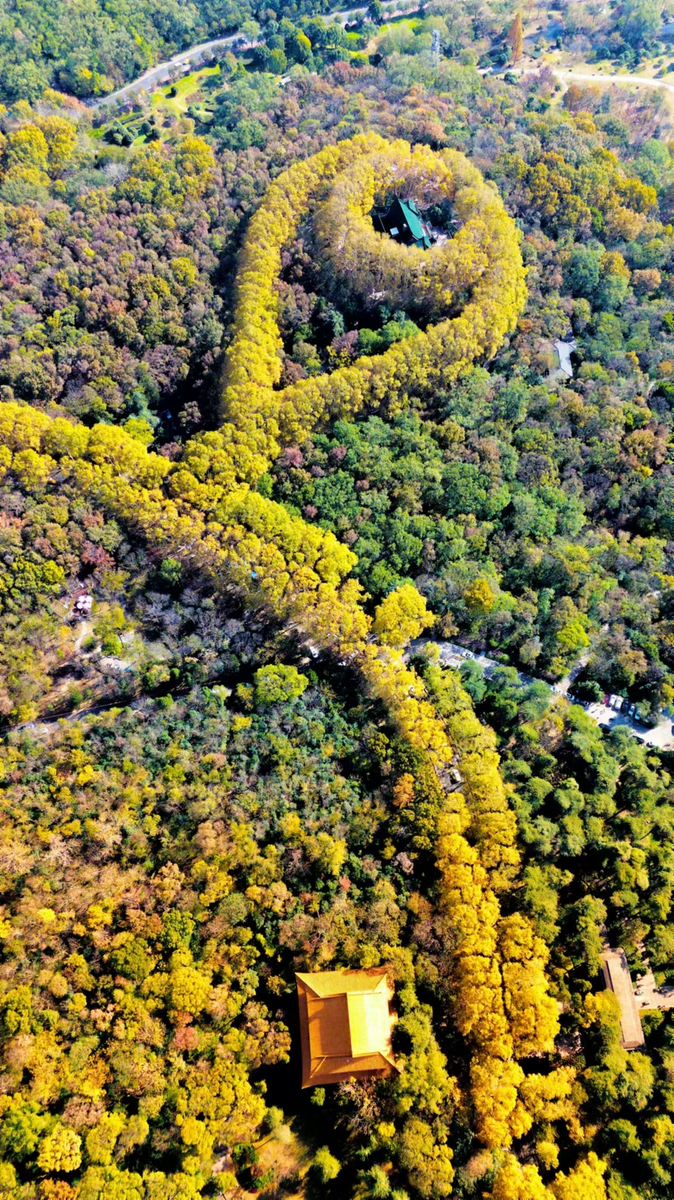 mmexport1733387896430