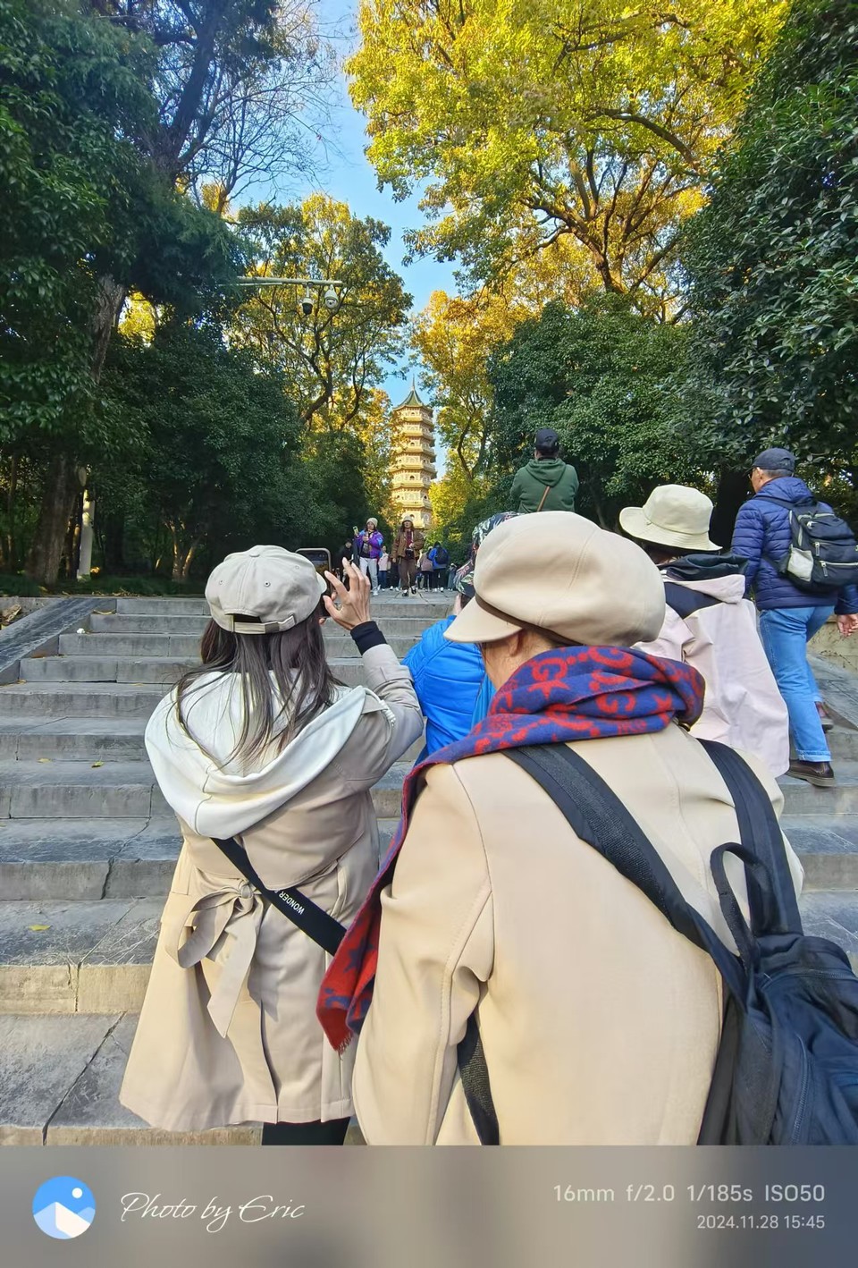 mmexport1733387917585