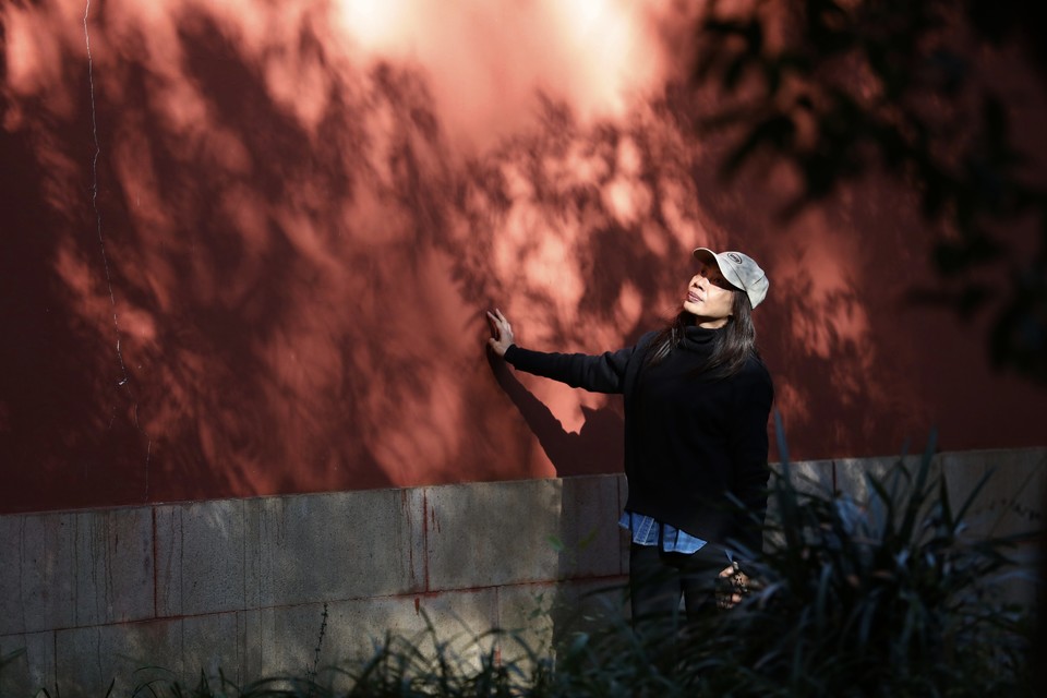 mmexport1733387936985